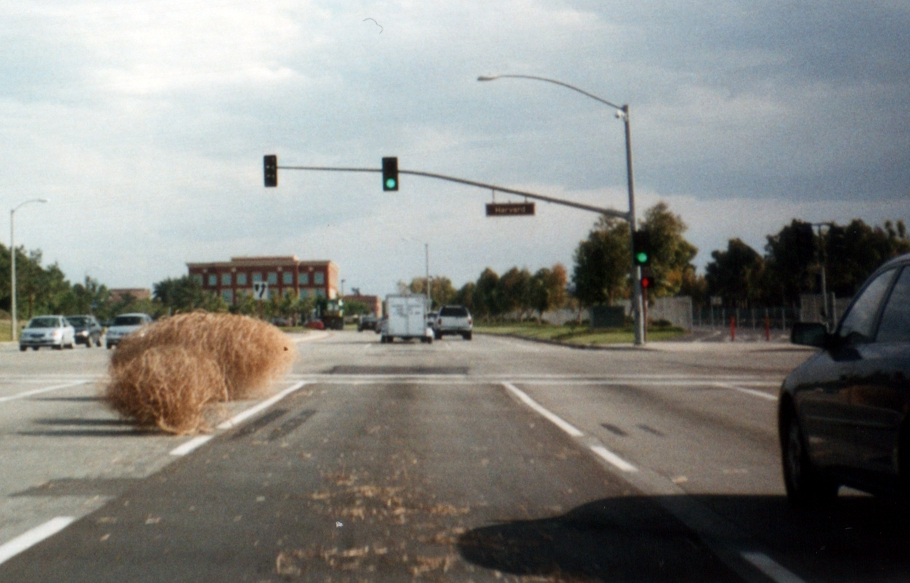 Tumbleweeds in the *middle* of the road.