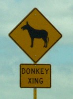 Donkey Xing