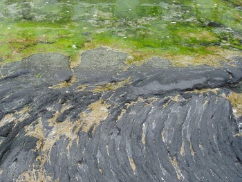 Pahoehoe tidepool