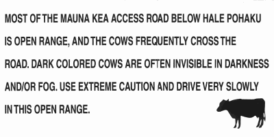 Why invisible cows?  It's dark and foggy.