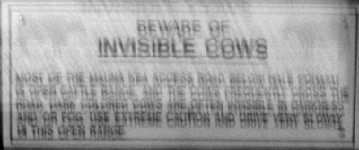 The actual invisible cows sign (blurry)