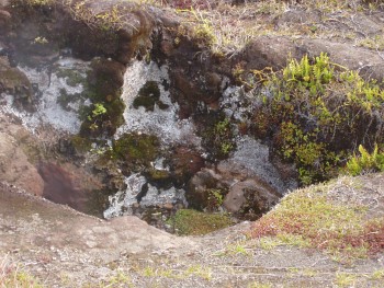 Looking into the steam vent.