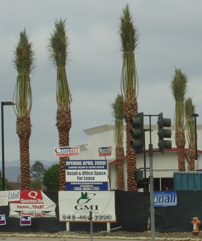 Opening April 2005! Or not...