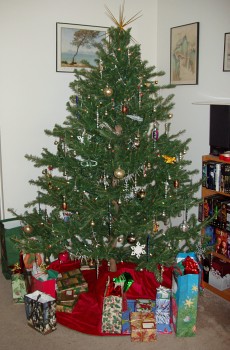 Our Christmas Tree