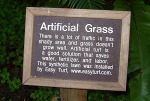 Placard: Artificial Grass. There is a lot of traffic in this shady area and grass doesn't grow well. Artificial turf is a good solution that saves water, fertilizer, and labor.