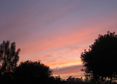 Pink clouds at sunset on February 7, 2007