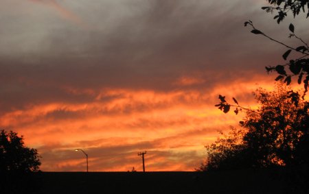 Orange clouds at sunset