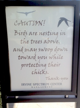 CAUTION! Birds are nresting in the trees above, and may swoop down toward you while protecting their chicks. Thank-you. Irvine Spectrum Center Management.