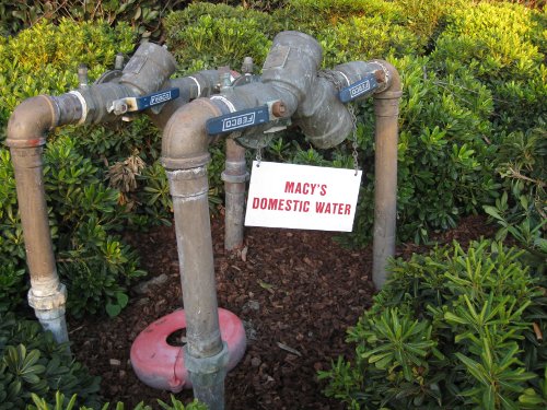 Two arches of water pipes sticking up out of the ground and back in next to a hedge, with valves at the top of each. One has a sign hanging from it that says Macy's Domestic Water.