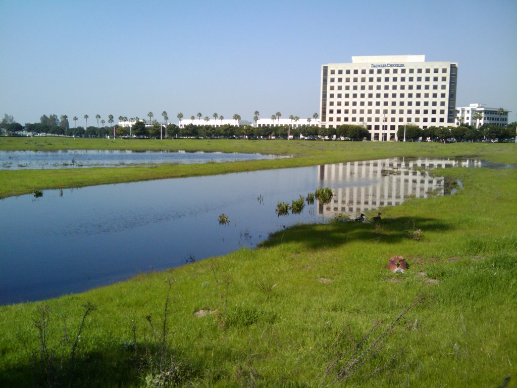 Office Park Ponds 2