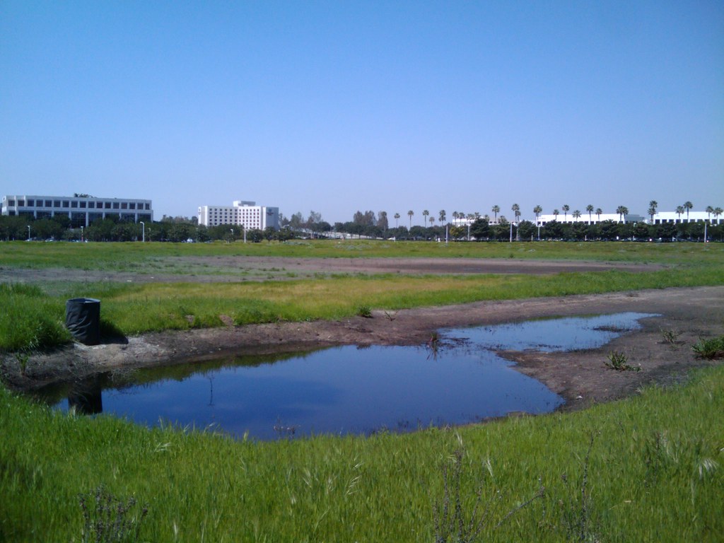 Drying Office Park Pond
