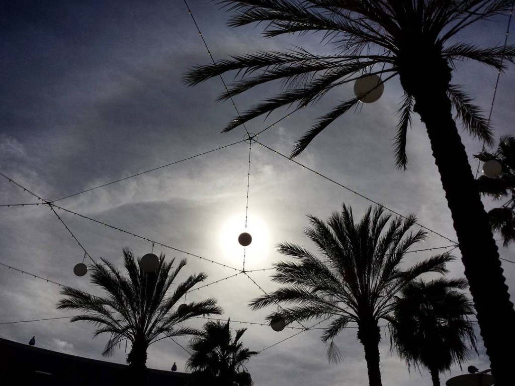 Fake Eclipse, Real Sun Halo