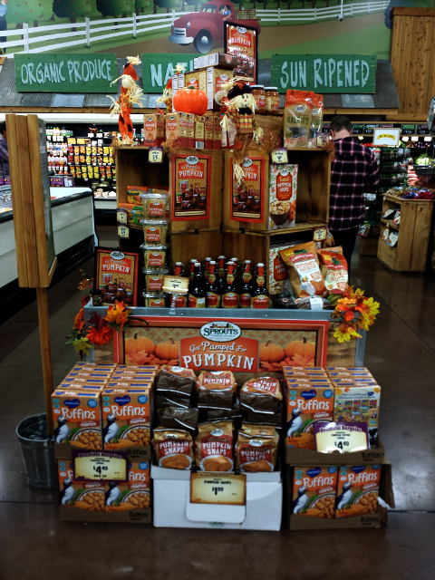 Pumpkin Spice ALL the Things