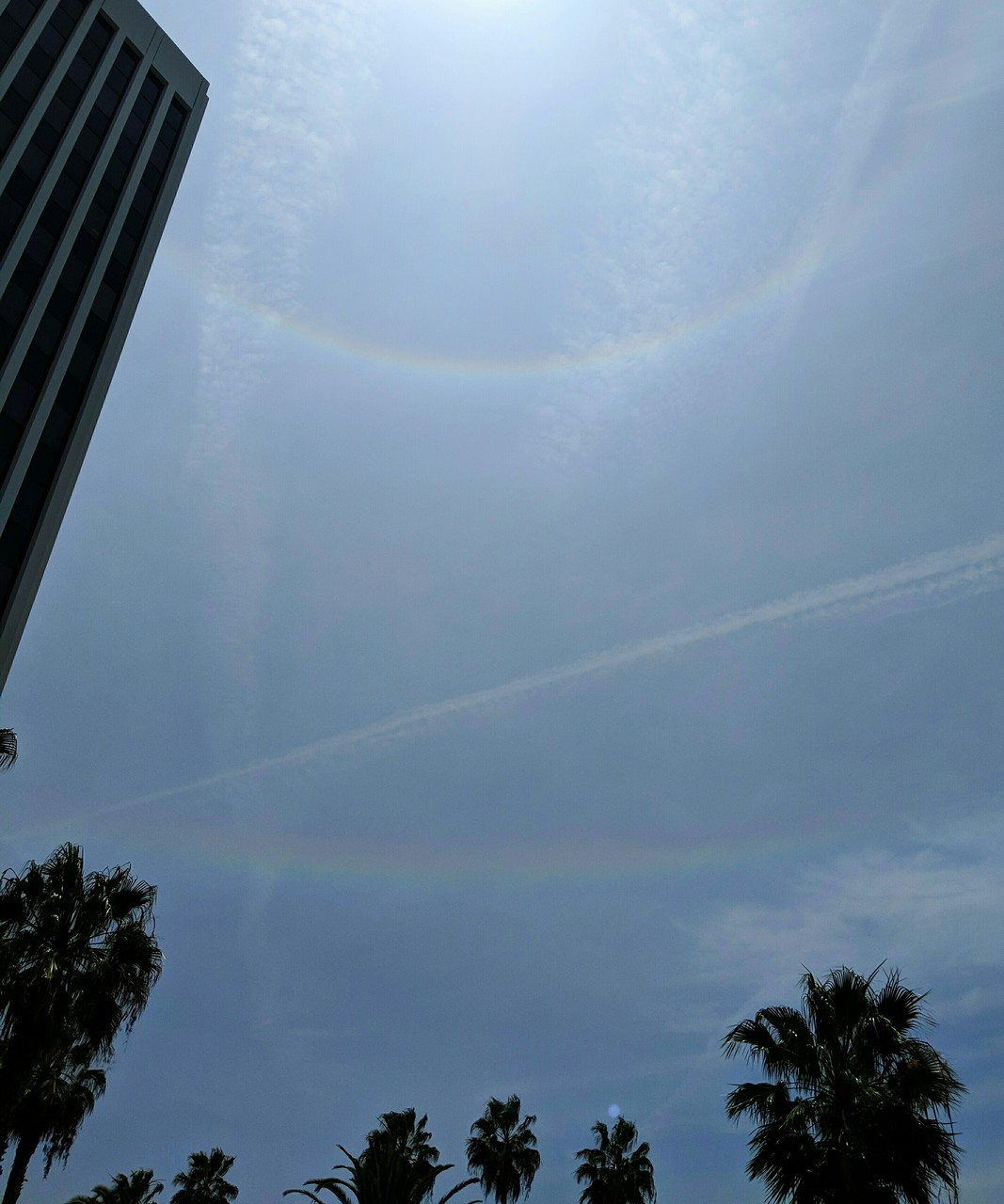 Thin clouds and contrails cross the sky. A bright rainbow-like ring circles a spot just out of view above the frame. A fainter rainbow-like line runs across the sky below it.