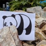 The panda is climbing through rocks.