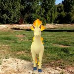 A Rapidash on an open grassy area.