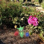 A Roselia in a rose garden.