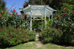 Gazebo with caution tape.