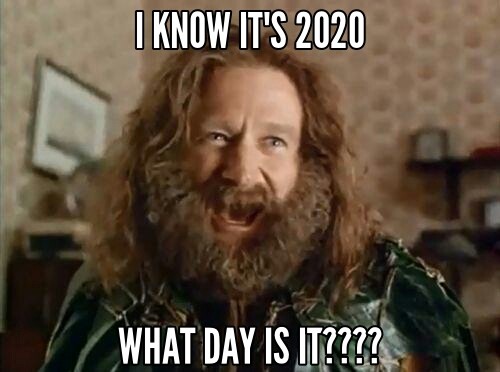 Robin Williams in Jumanji, wild hair and beard, shouting: I know it's 2020! What DAY is it????