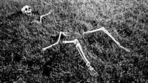 Skeleton decoration arranged to look like it's partially buried in the lawn.