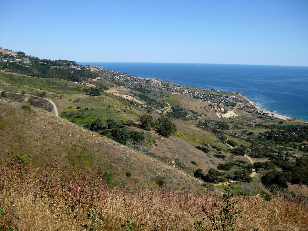 Looking out along a hillside sloping down to the ocean. Most of it is dry chaparral, with some clusters of darker trees, and a jumbled suburban neighborhood off in the distance as it levels out near the base. A dirt road snakes its way around the curves.