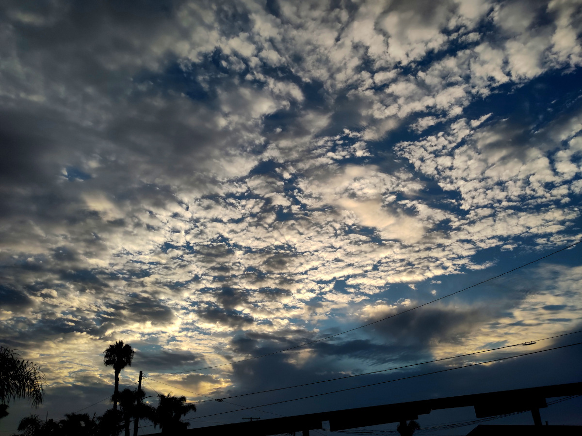 Darkening sky with a bunch of small clouds, lit from behind/below.