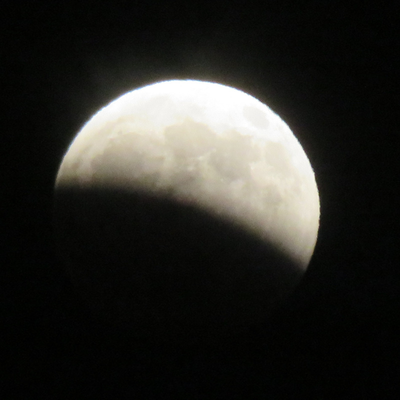 At first glance it looks like a half-moon...but the line between light and shadow is curved the wrong way, its endpoints aren't aligned with the center, and there's none of the texture you'd see along it in a normal moon phase