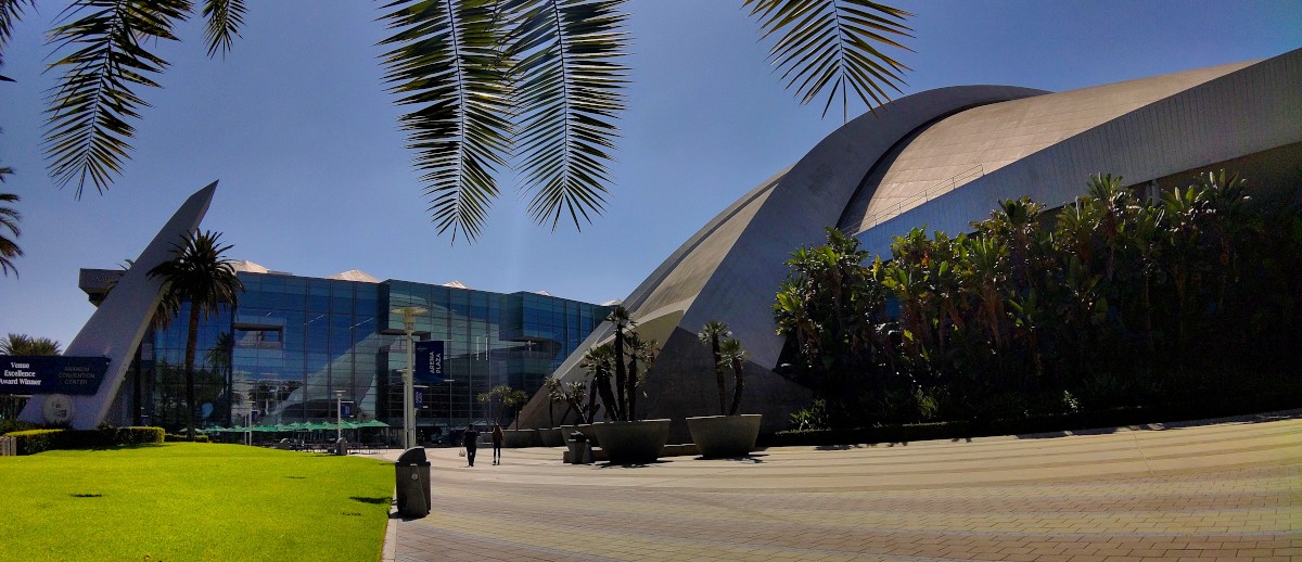 A round building in the foreground, and a wavy-looking glass building in the background, with palm frons reaching down from the top of the frame.